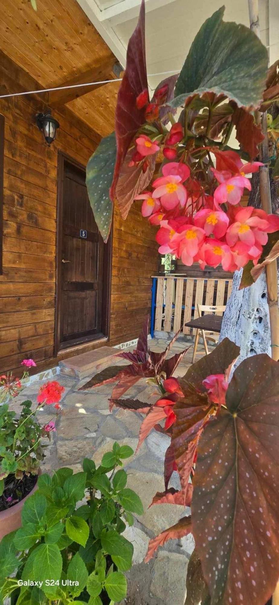 Motel Holiwood Himarë Exterior foto